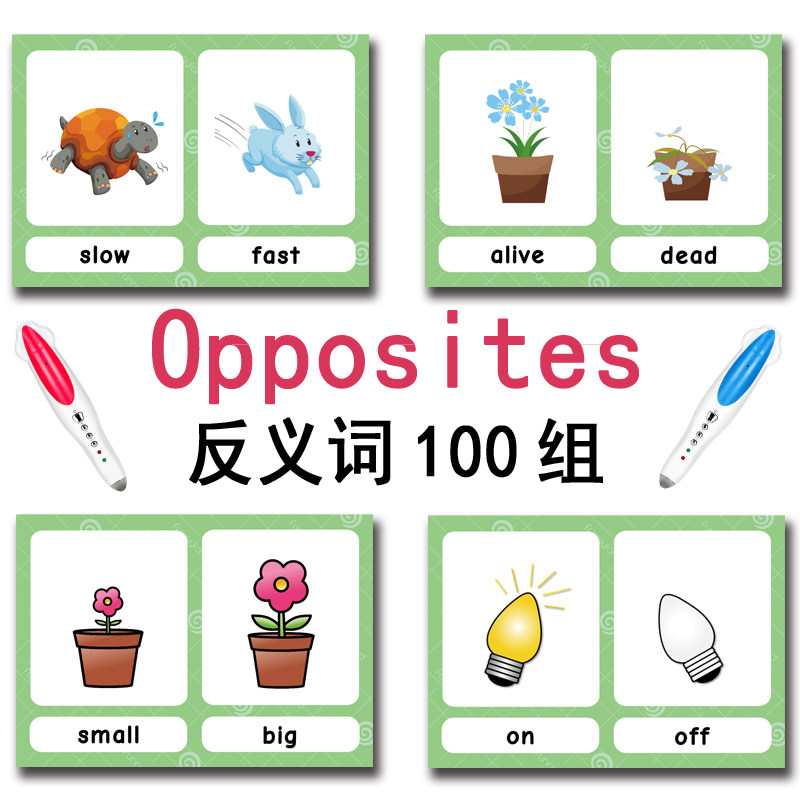 แฟลชการ์ดคำศัพท์ภาษาอังกฤษ 100 - Card Game Kids บทวิจารณ์และราคา